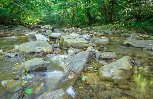 ТАМ, ГДЕ ПОЮТ РУСАЛКИ.