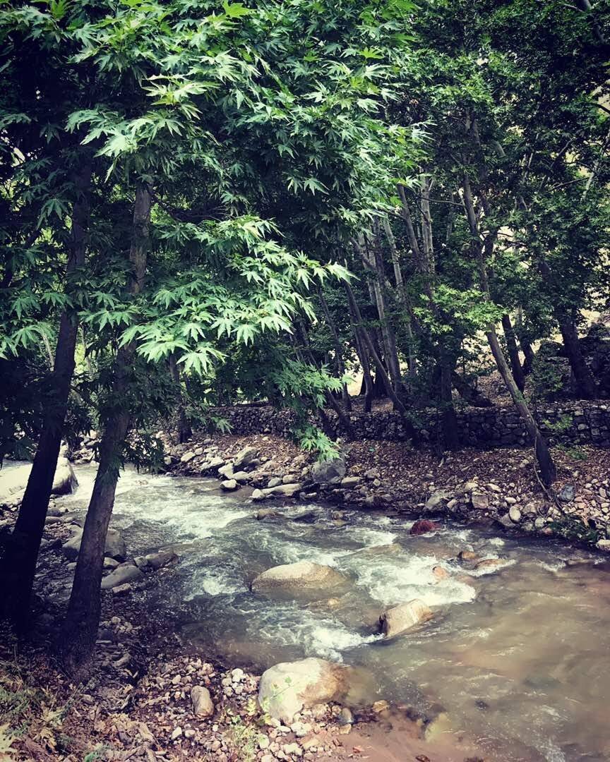 родничок, Самадов Махди