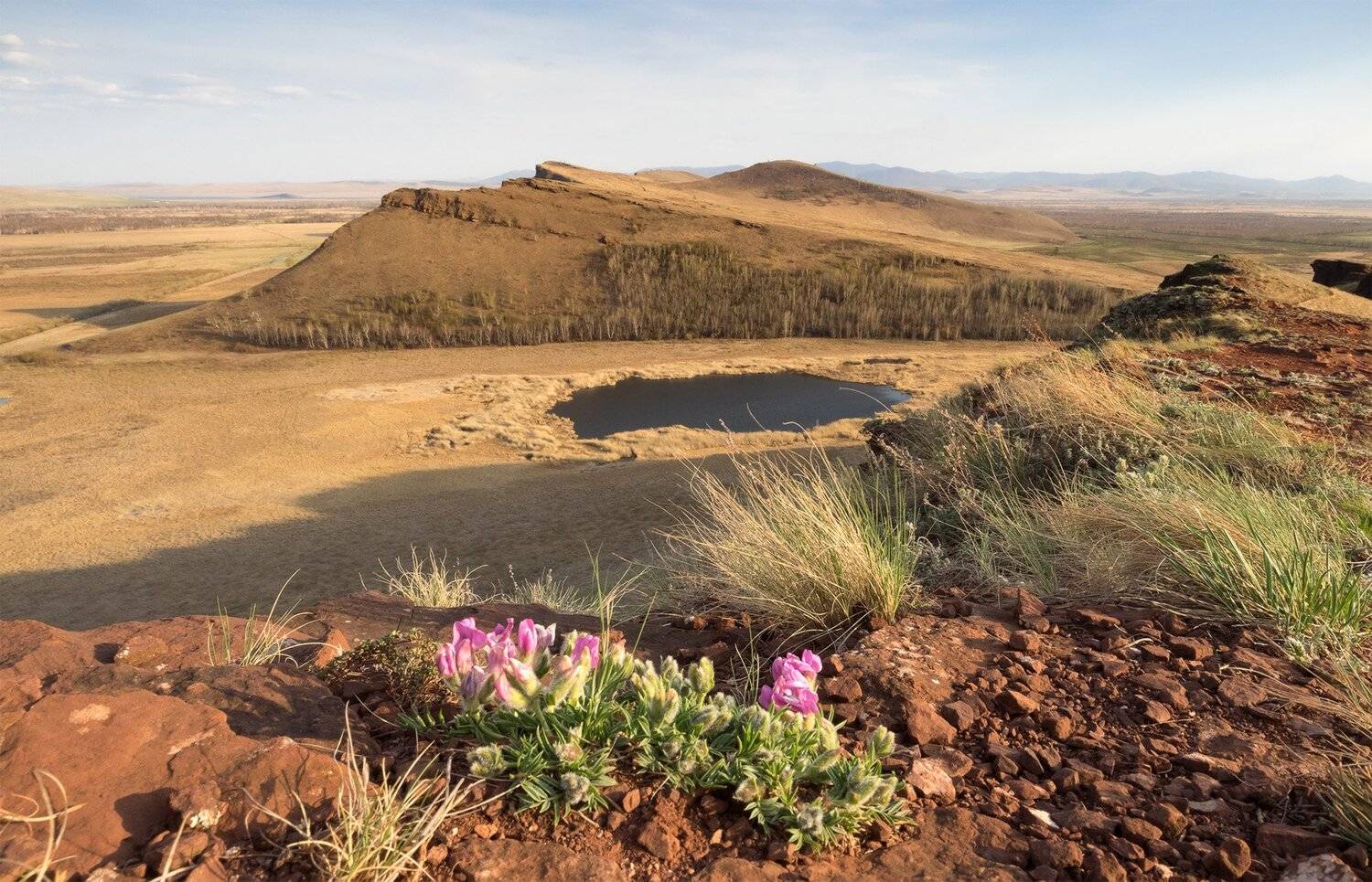 , Лещёнок Александр