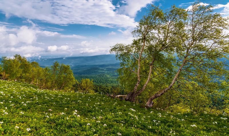 *** фото превью