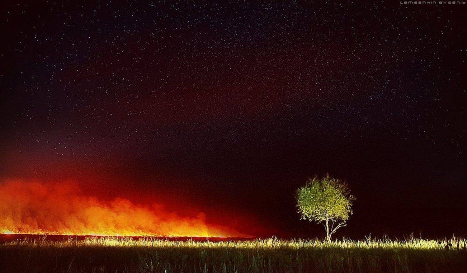 , Евгений Лемешкин