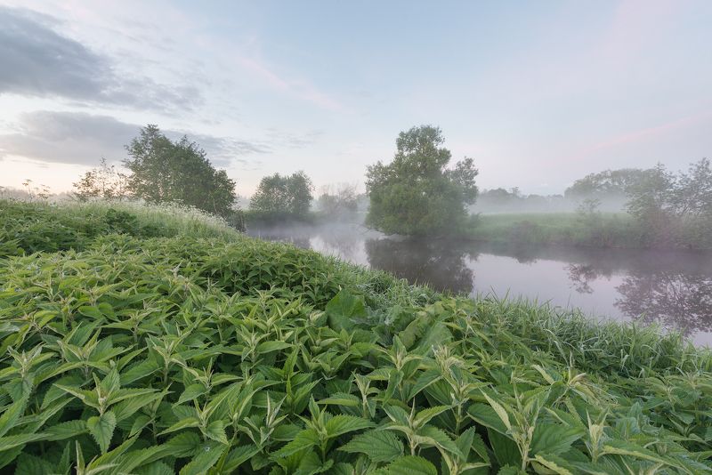 Утра нежного пробужденье... фото превью
