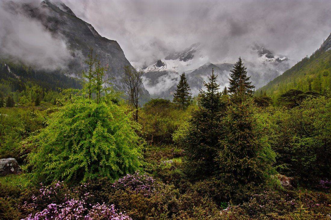 лес горы, Лена Стогова