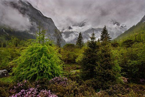 Дождливый день