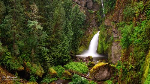 Wahclella Falls / Водопад Вачелла
