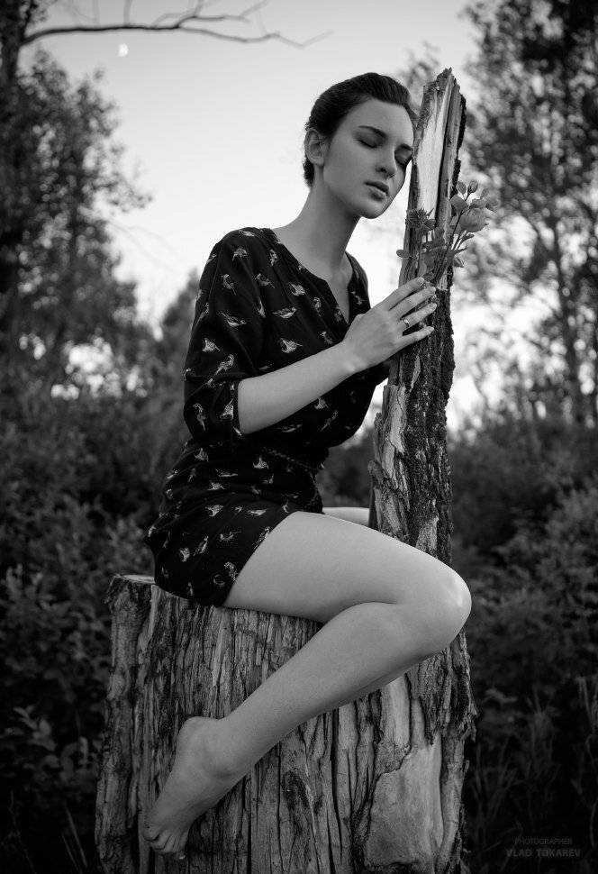 , Владислав Токарев