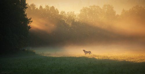 На рассвете