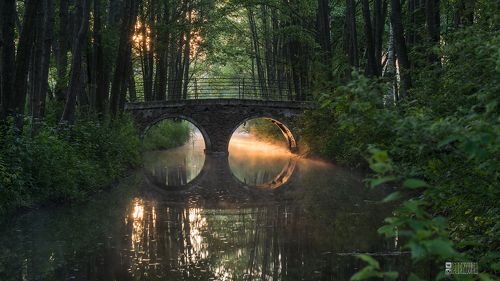 Рассвет в л/п Дрозды