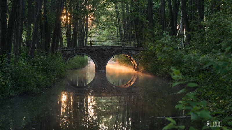 рассвет парк свислочь дрозды минск заря туман отражение мост свет Рассвет в л/п Дрозды фото превью