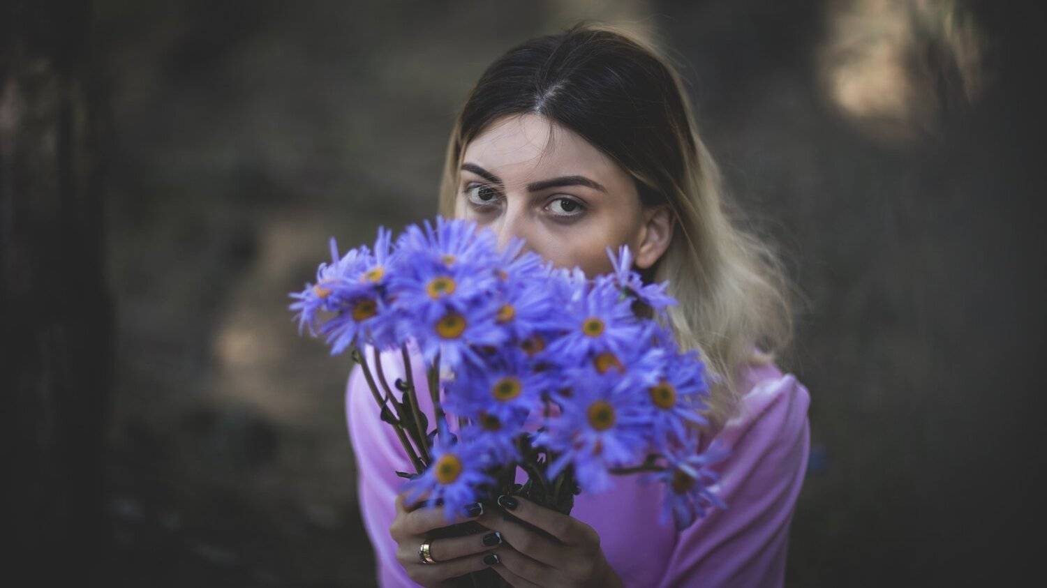 , ნიკოლოზ მესხი