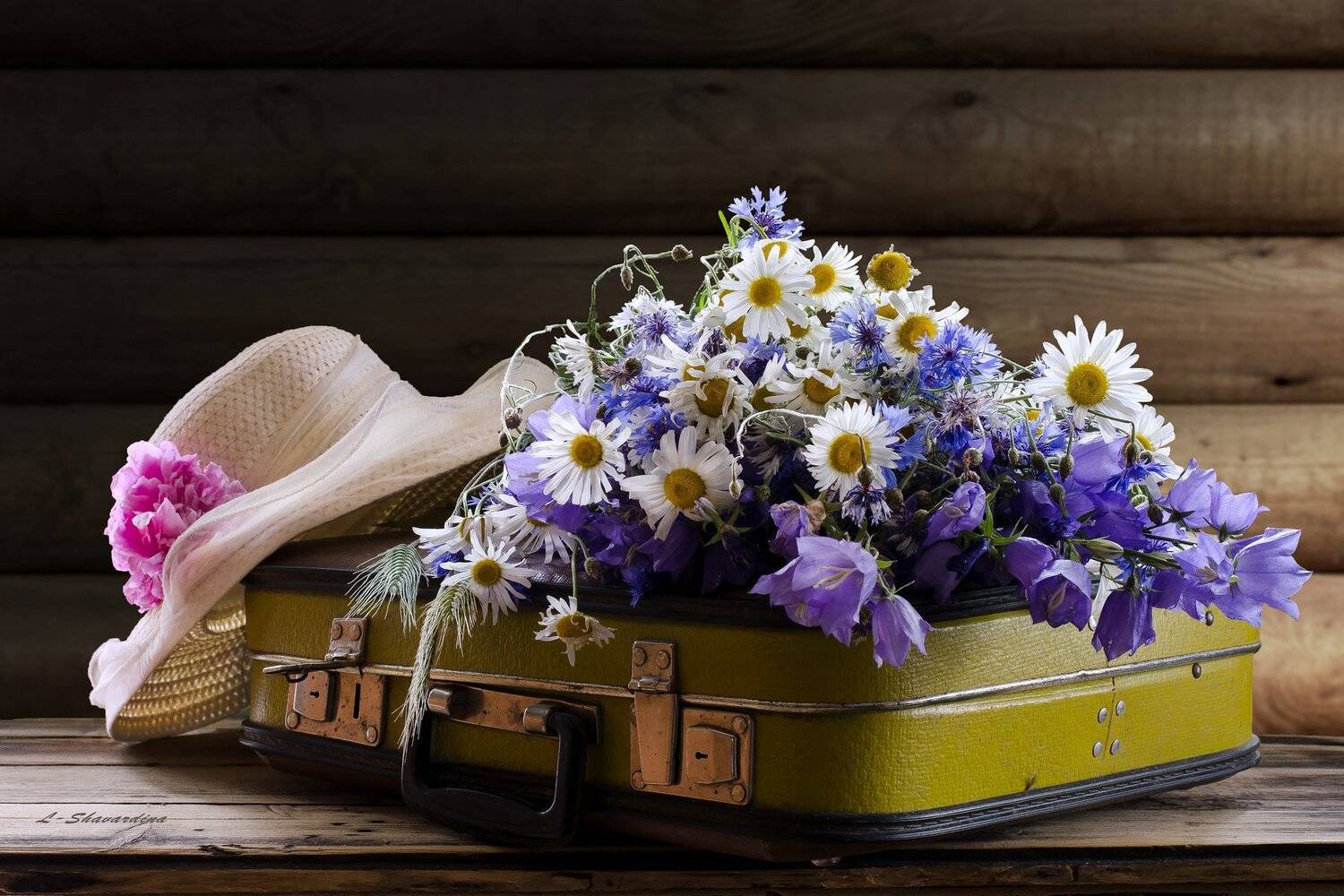 , Елизавета Шавардина