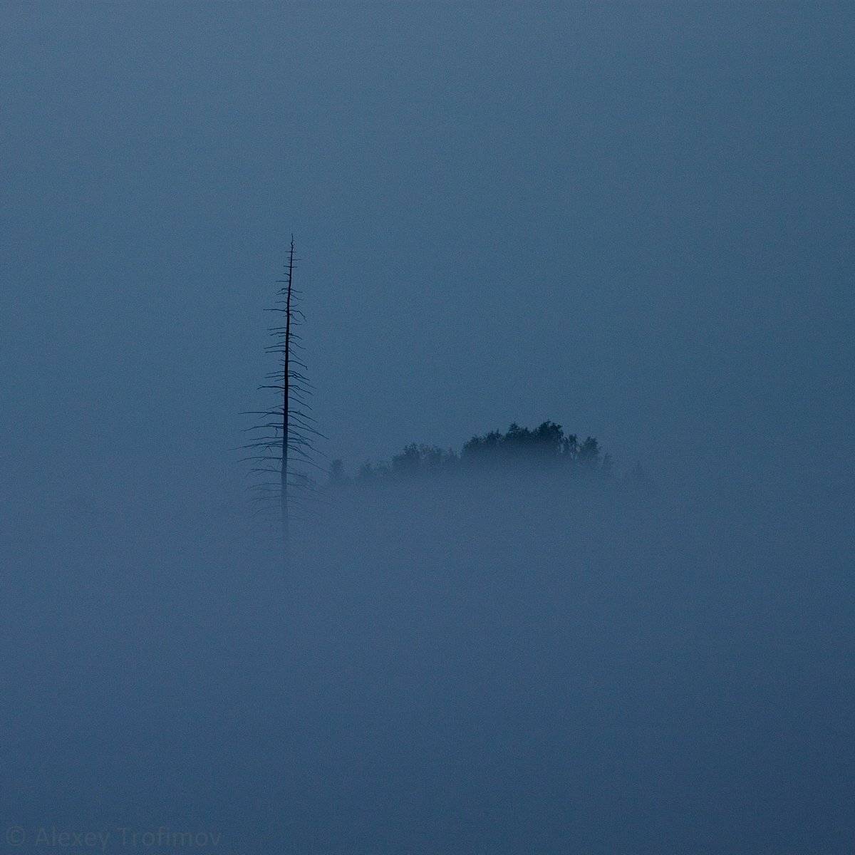 , Алексей Трофимов