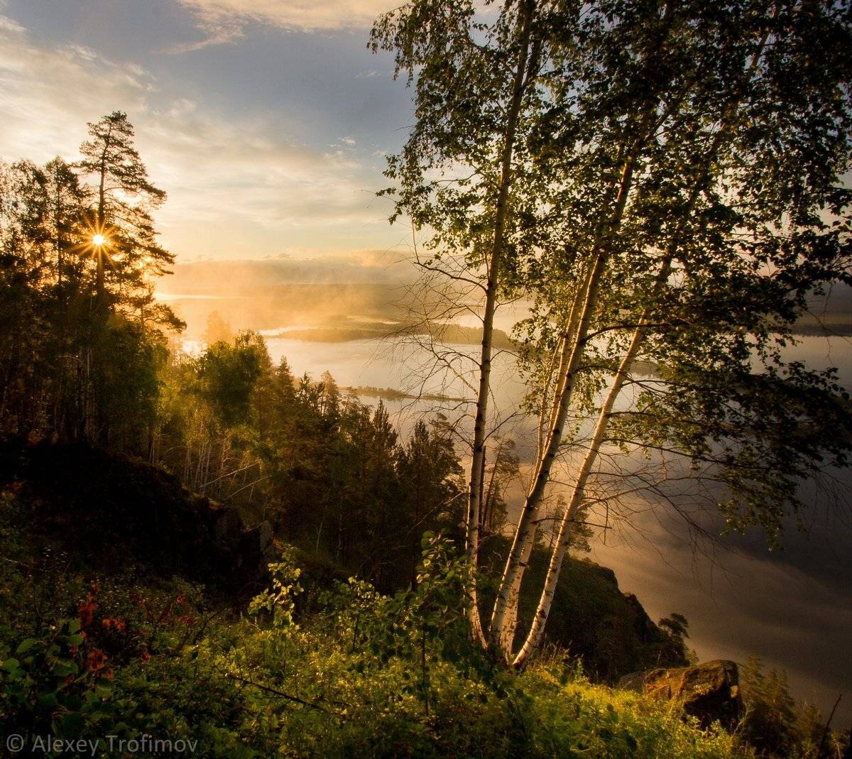 , Алексей Трофимов