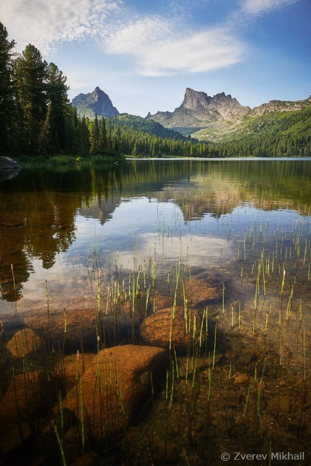 , Михаил Зверев