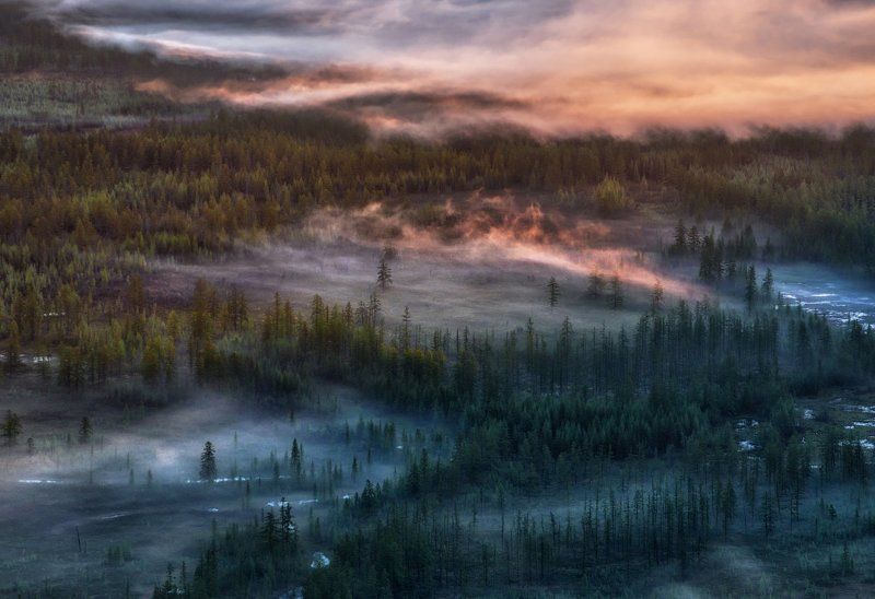Якутия. Дебри сказочной тайги. фото превью