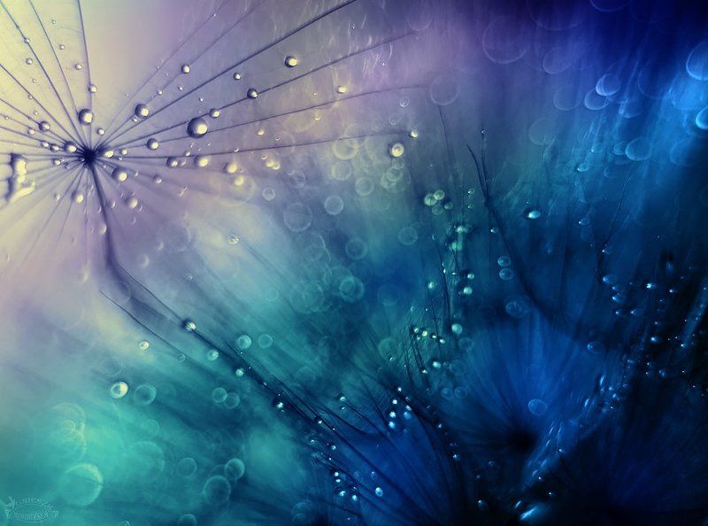 Eksplozja фото превью