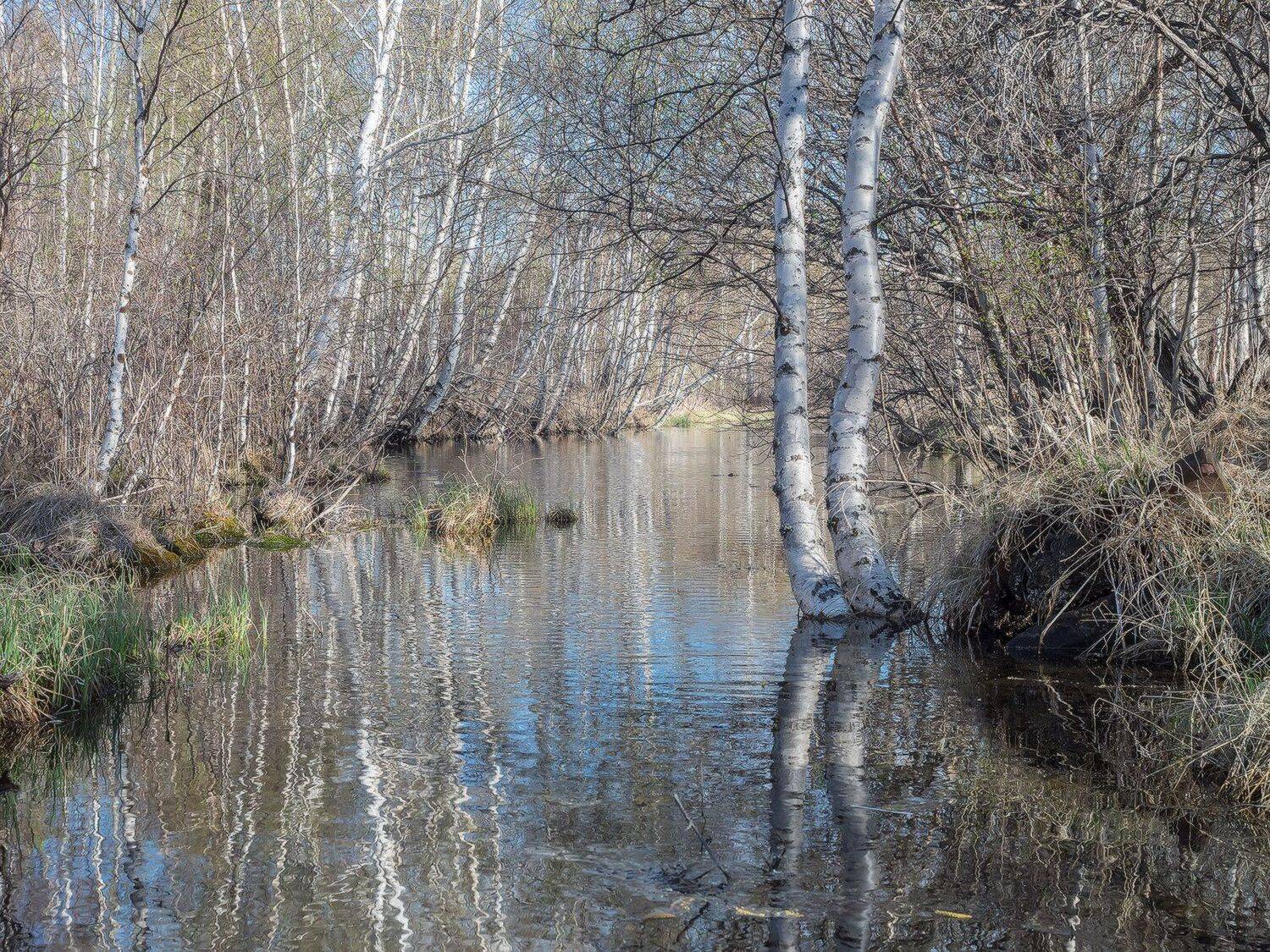 , Лещёнок Александр