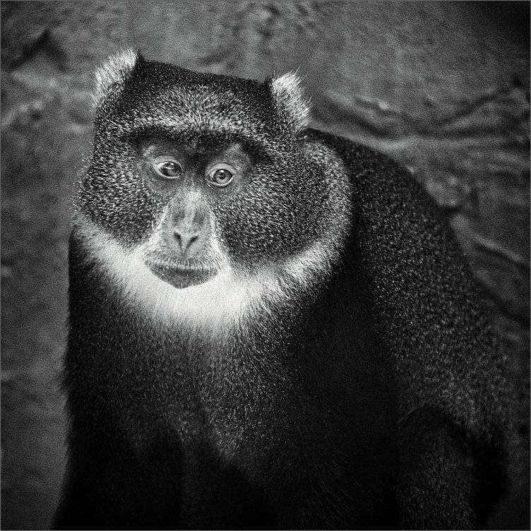 , Сергей Фудиненко