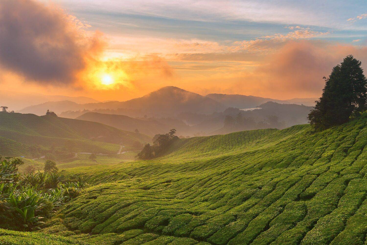 , Михаил Туркеев