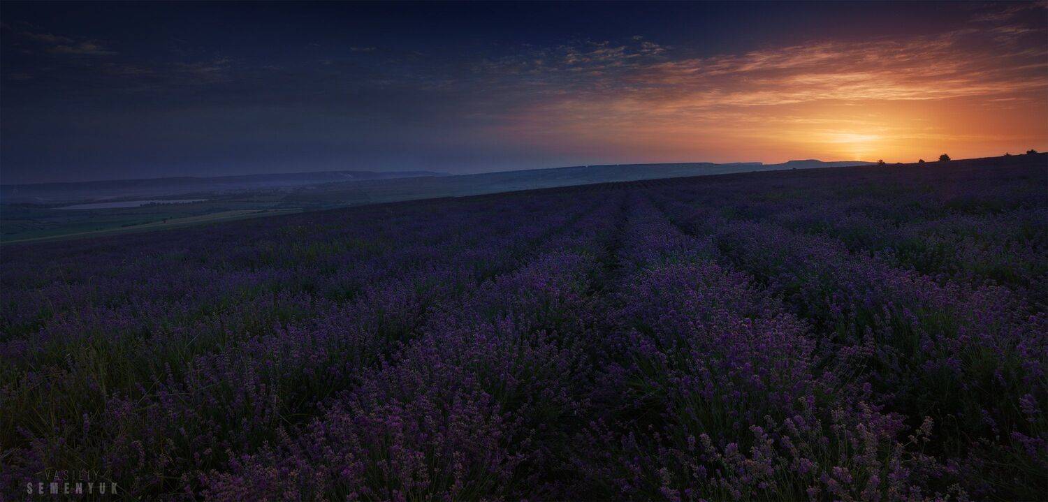 крым, лаванда, рассвет, предгорья, тургеневка, поле., Семенюк Василий