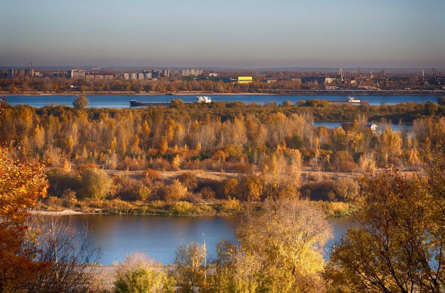 , Николай Шелепов