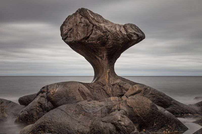 рок фото превью