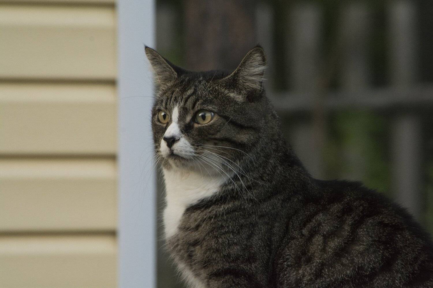 , Марина Никулина