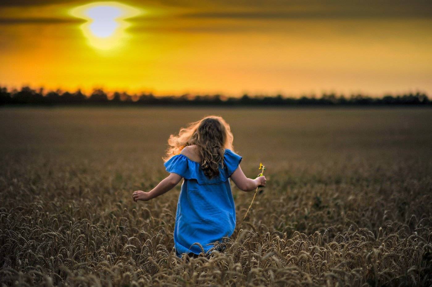 , Борис Пирог