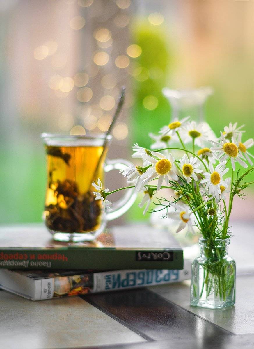 , Чернякова Анна