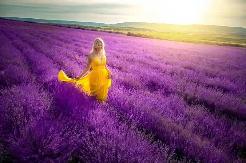 Лаванда фото превью