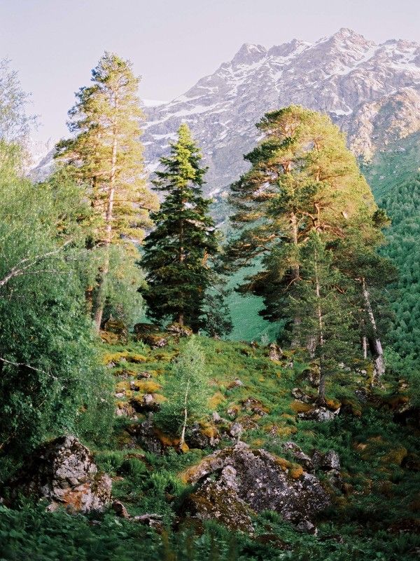 кодак эктар Архыз фото превью