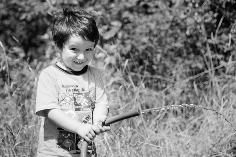 Лето, жара, помощник хочет пить) фото превью