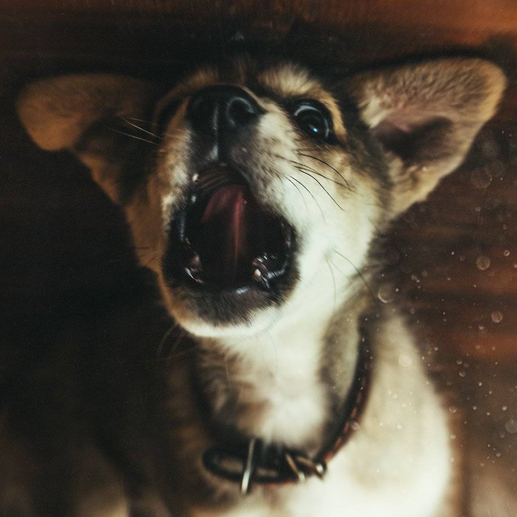 , Рублёв Дмитрий