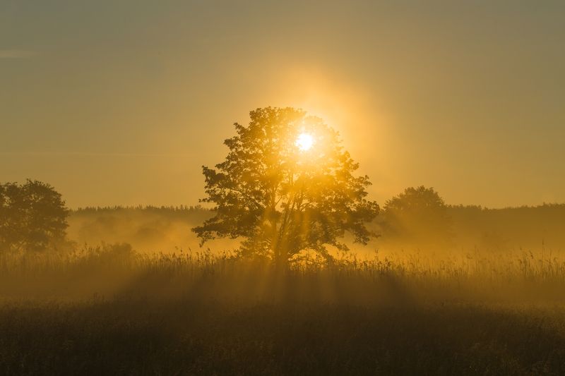 Утро нового дня фото превью