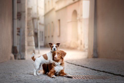 Прогулки по Люблину