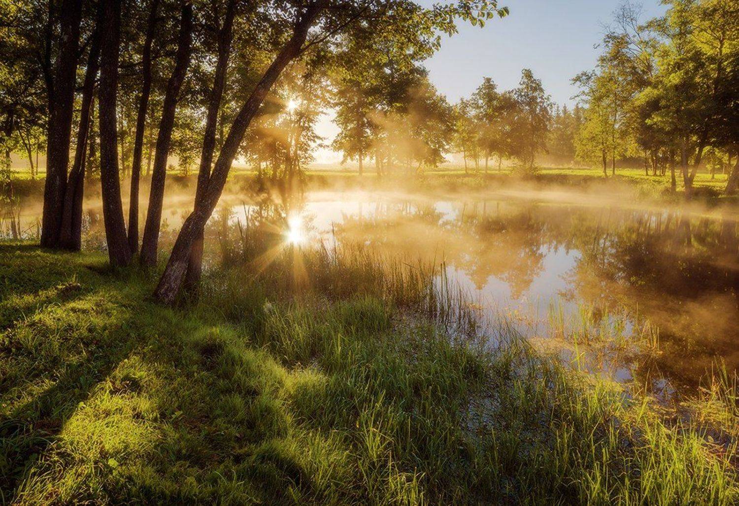 , Justinas Kondrotas