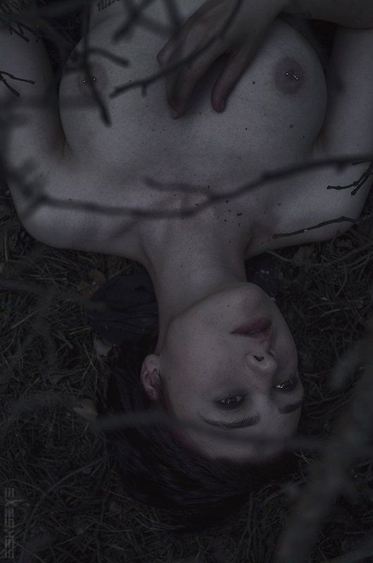 ... фото превью