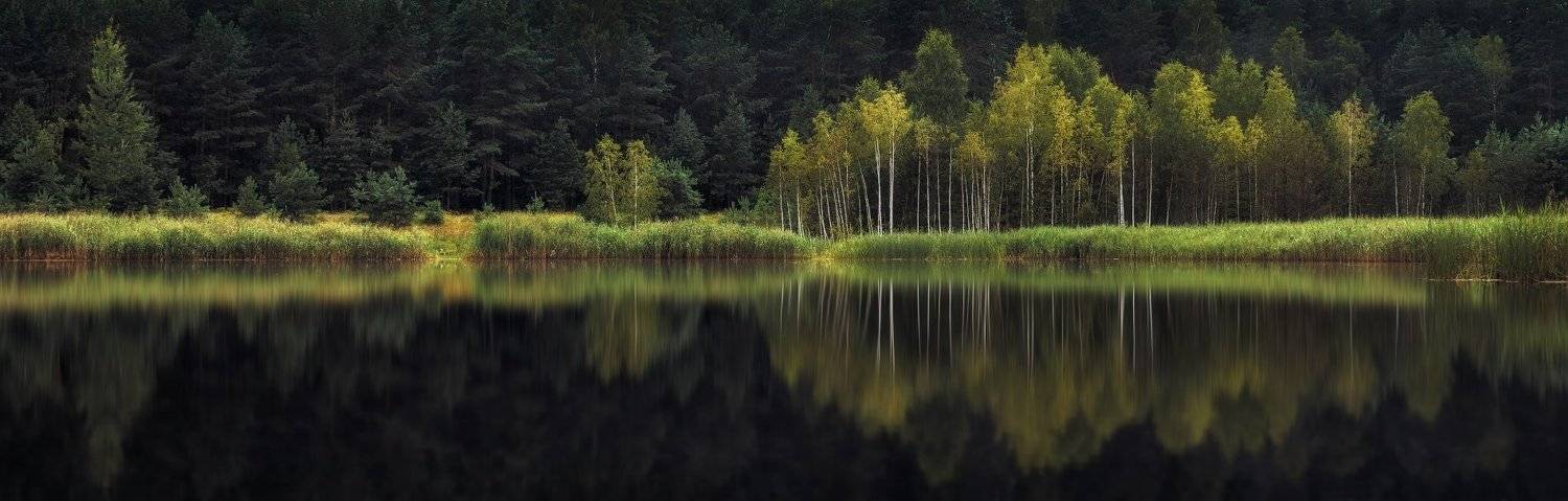 лето, озеро, лес,, Сергей Шабуневич