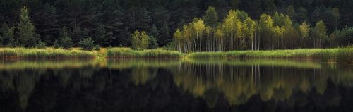 Отражения