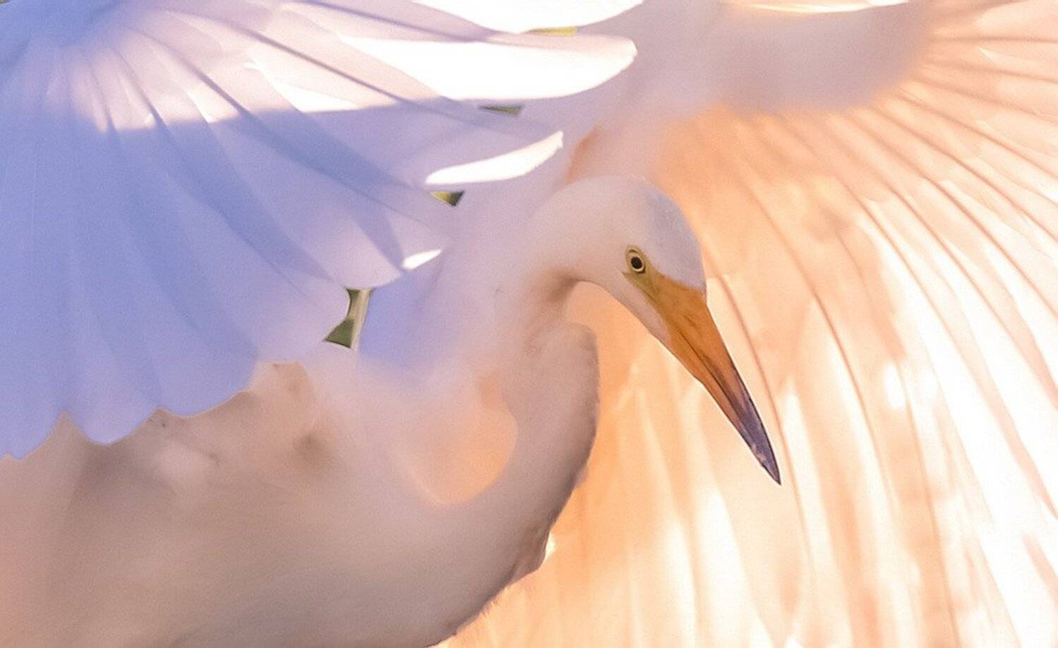 , Вячеслав Мищенко