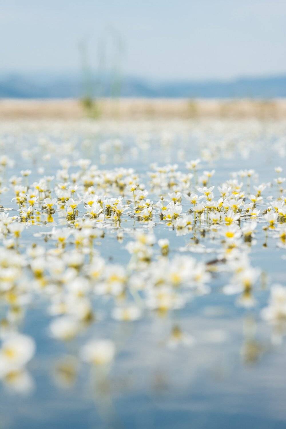 , Сергей Ослопов