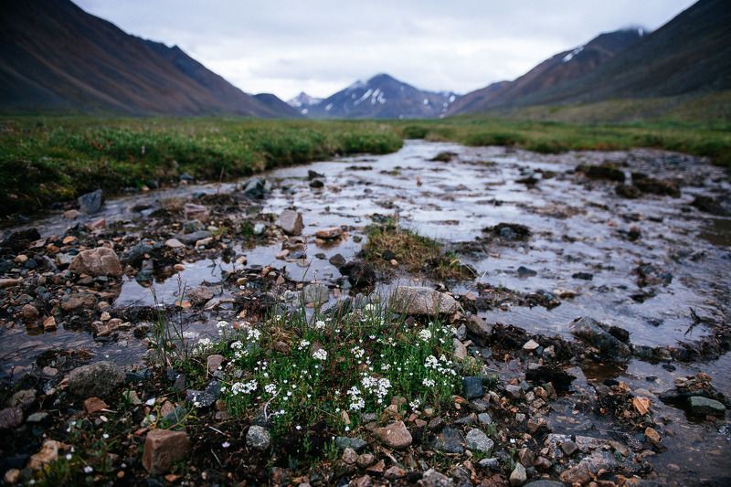 *** фото превью