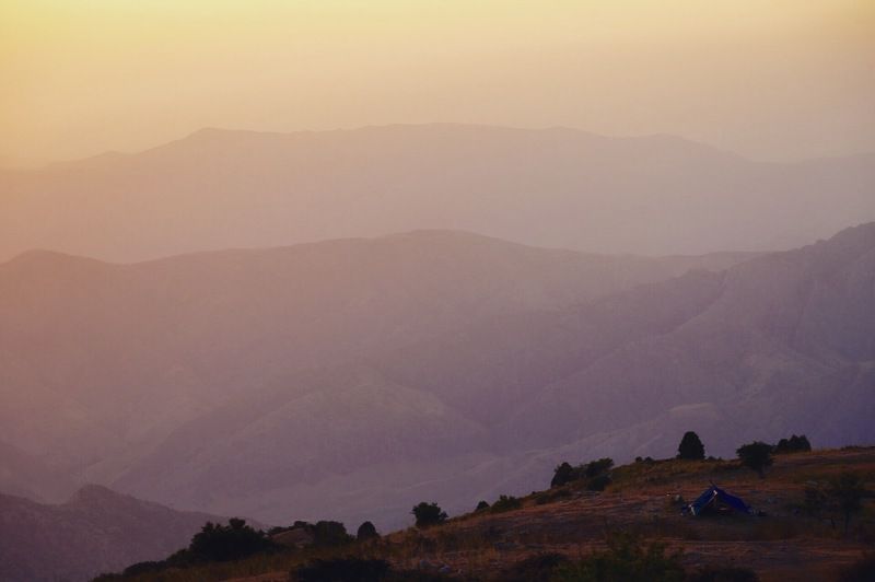 Охота за кабанами фото превью