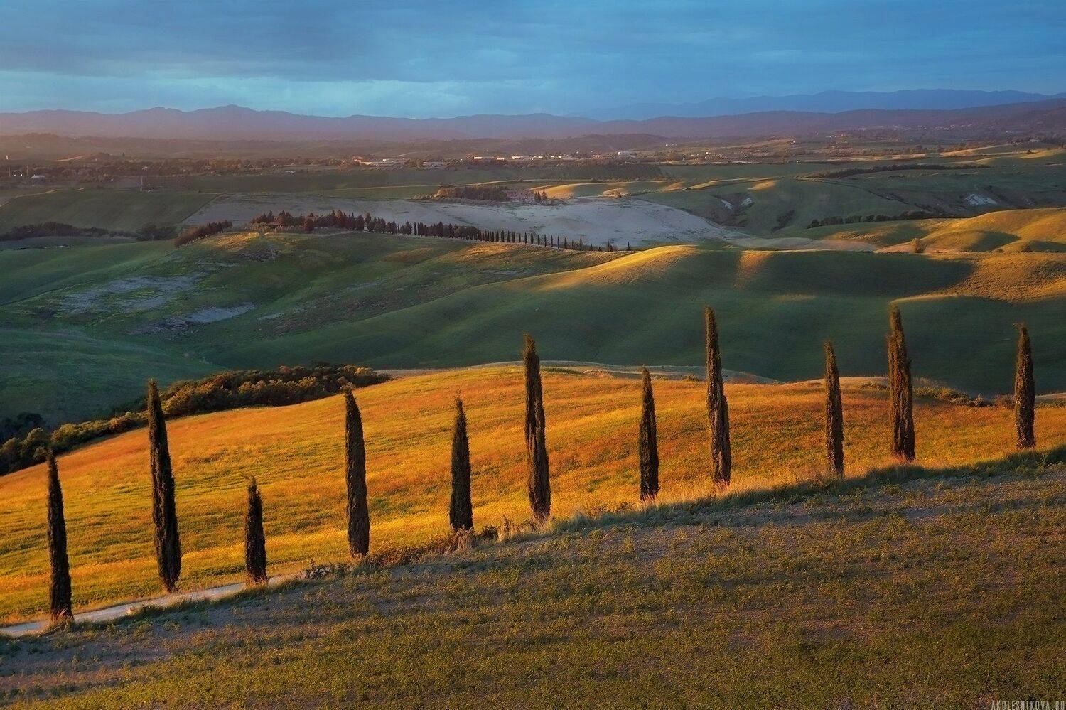 tuscany, italy, nature, travel, путешествие, тоскана, природа, закат, Анастасия Колесникова