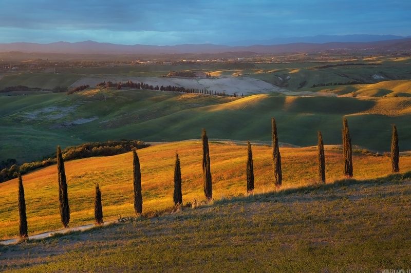 tuscany, italy, nature, travel, путешествие, тоскана, природа, закат Under the Tuscan Sun фото превью