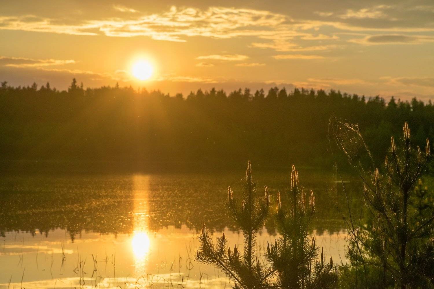 , Коростелев Юрий