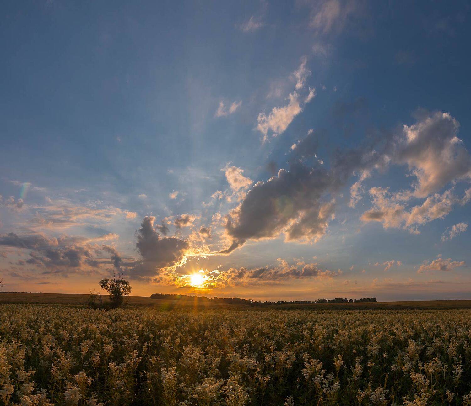 , Александр