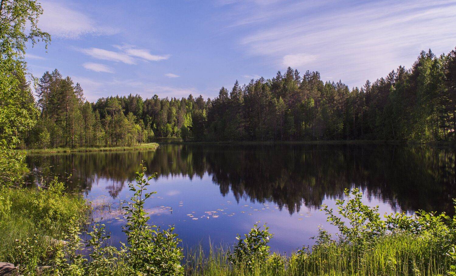 , Марина Никулина