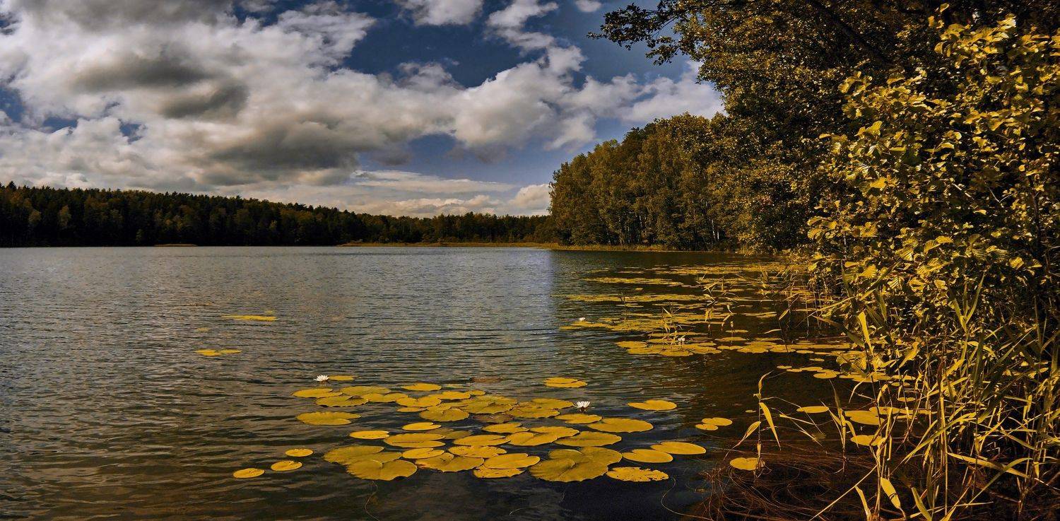 природа,лето,беларусь,пейзаж, Sixten ( Сергей )