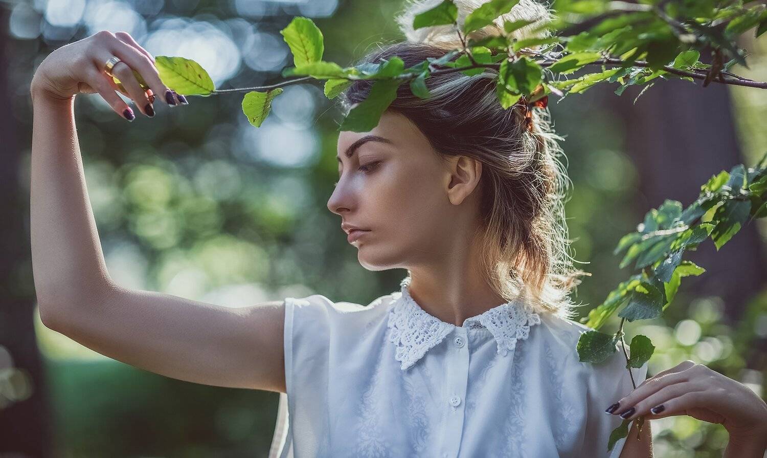 , ნიკოლოზ მესხი